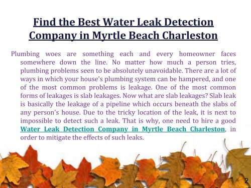 Find the Best Water Leak Detection Company in Myrtle Beach Charleston