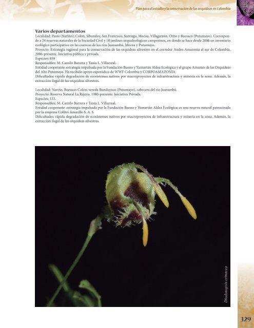 Masdevallia