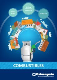 COMBUSTIBLES