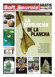 LA REVOLUCIÓN DE LA PLANCHA