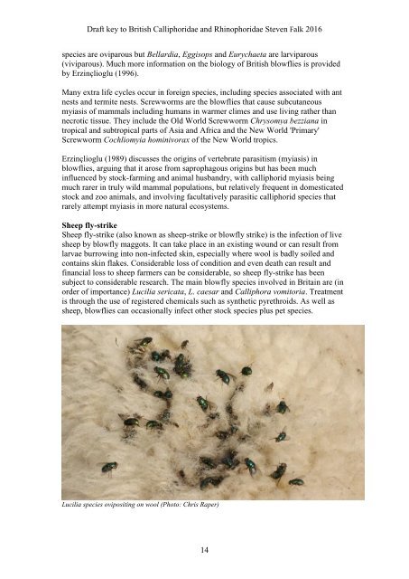 BRITISH BLOWFLIES (CALLIPHORIDAE) AND WOODLOUSE FLIES (RHINOPHORIDAE)