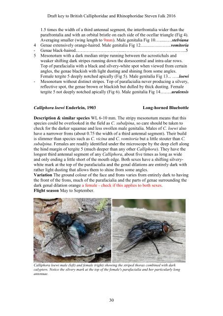 BRITISH BLOWFLIES (CALLIPHORIDAE) AND WOODLOUSE FLIES (RHINOPHORIDAE)