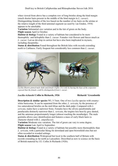 BRITISH BLOWFLIES (CALLIPHORIDAE) AND WOODLOUSE FLIES (RHINOPHORIDAE)