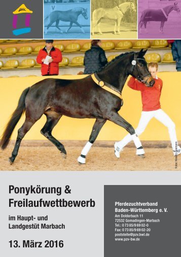 Katalog Ponykörung und Freilaufwettbewerb Warmblut am 13. März 2016