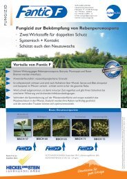 Flyer A4 Fantic F einseitig_HeckelStein