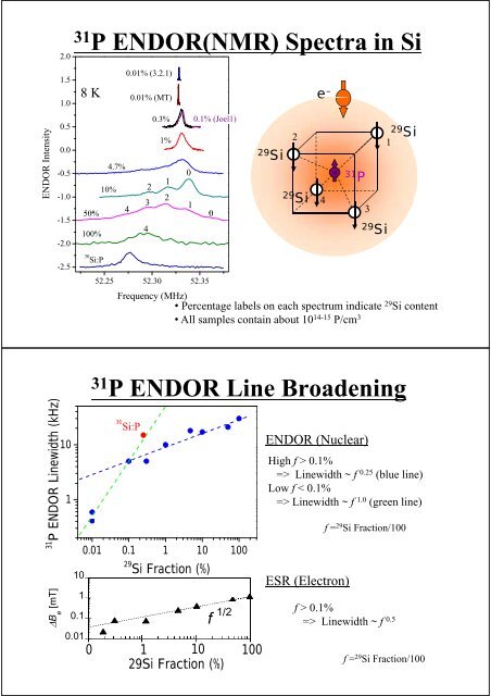 Host silicon isotope effect on 31P ENDOR