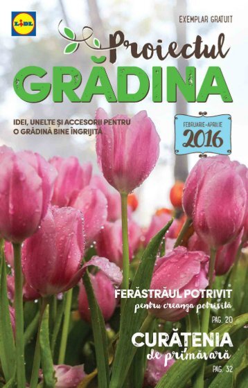 Lidl Gradina