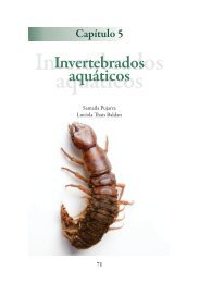 Invertebrados aquáticos