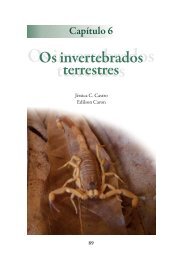 Invertebrados terrestres