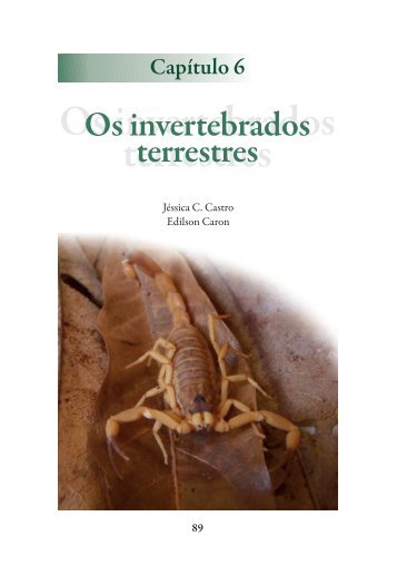 Invertebrados terrestres