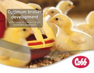 Optimum broiler development