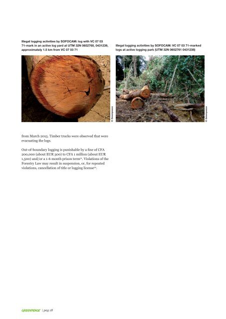 CCT’S TIMBER TRADE FROM CAMEROON TO EUROPE