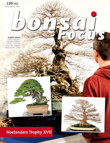 BONSAI FOCUS 2016-2 EN PREVIEW