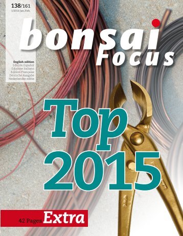 BONSAI FOCUS 2016-1 EN PREVIEW