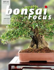 BONSAI FOCUS 2015-6 EN PREVIEW