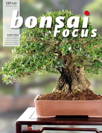 BONSAI FOCUS 2015-6 EN PREVIEW