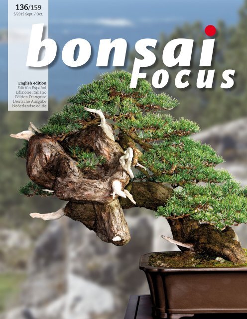 BONSAI FOCUS 2015-5 EN PREVIEW