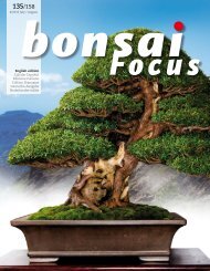 BONSAI FOCUS 2015-4 EN PREVIEW