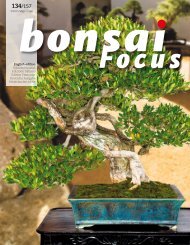 BONSAI FOCUS 2015-3 EN PREVIEW