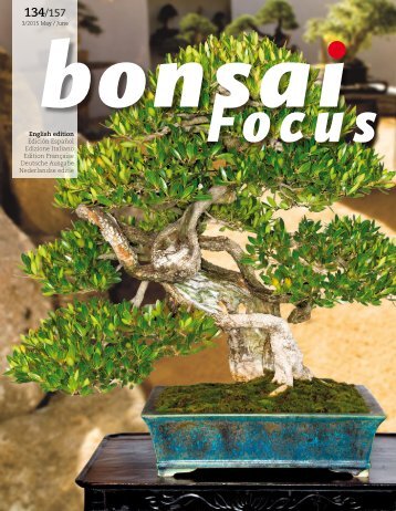 BONSAI FOCUS 2015-3 EN PREVIEW