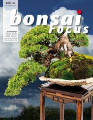 BONSAI FOCUS 2015-2 EN PREVIEW