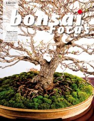 BONSAI FOCUS 2015-1 EN PREVIEW