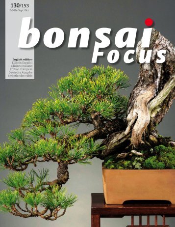 BONSAI FOCUS 2014-5 EN PREVIEW