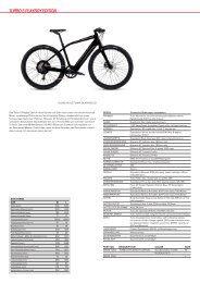 16_RetailerBook_Bikes_E_Bike_Turbo_Playboy