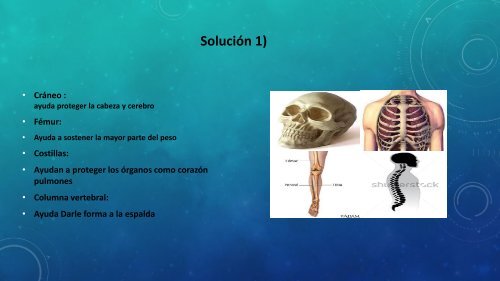 grado-primero