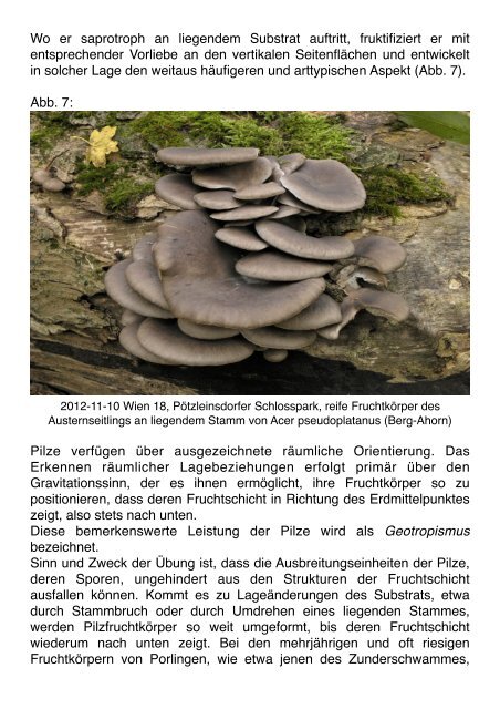 Mauritiushof Natur Magazin März 2016