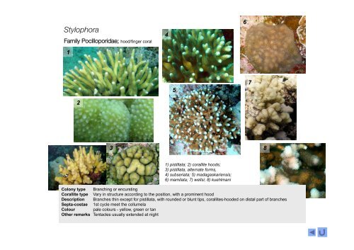 Coral Genera of WIO-2015
