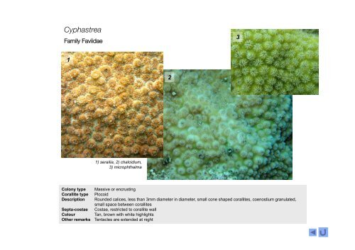 Coral Genera of WIO-2015