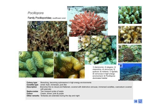 Coral Genera of WIO-2015