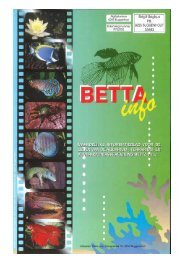 2016 - 03 - Betta-Info