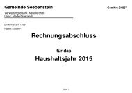 Rechnungsabschluss Seebenstein