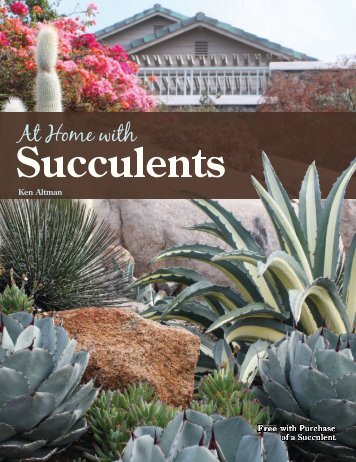 At Home with Succulents - Altman Plants