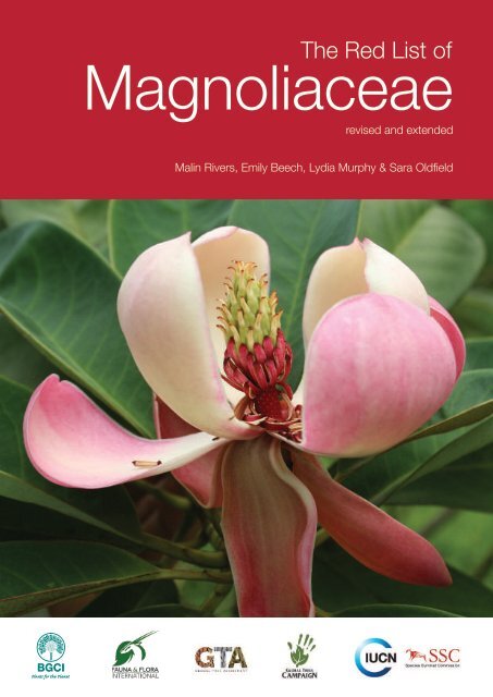 Magnoliaceae