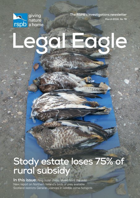 Legal Eagle