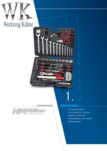 Kapitel 1 - Nusskästen, Ring-Maulschlüssel, Ratschen, Inbus, Torx, Schraubendreher, Bits