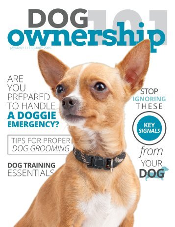 Dog Ownership 101 - January/February 2016