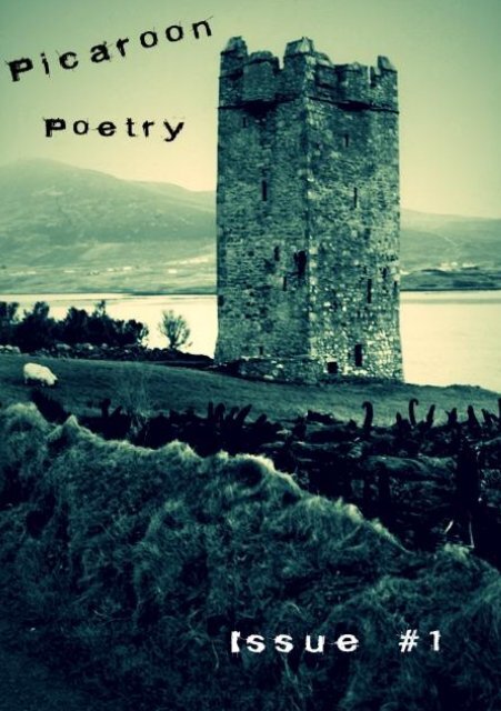 Picaroon Poetry - Issue #1 - March 2016