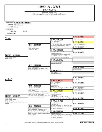 APFA 11 . 05358 SIRE DAM - VIP Lofts