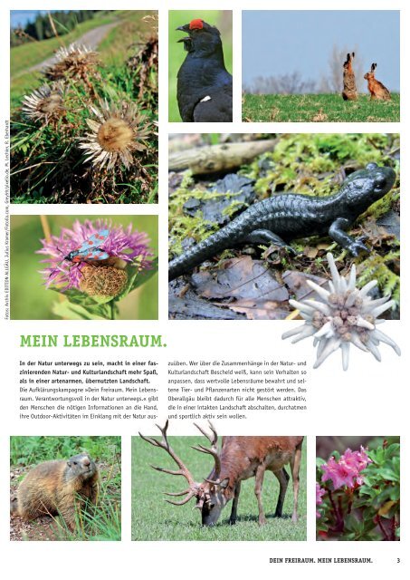 NAGELFLUH Frühjahr/Sommer 2015 - Das Naturpark-Magazin