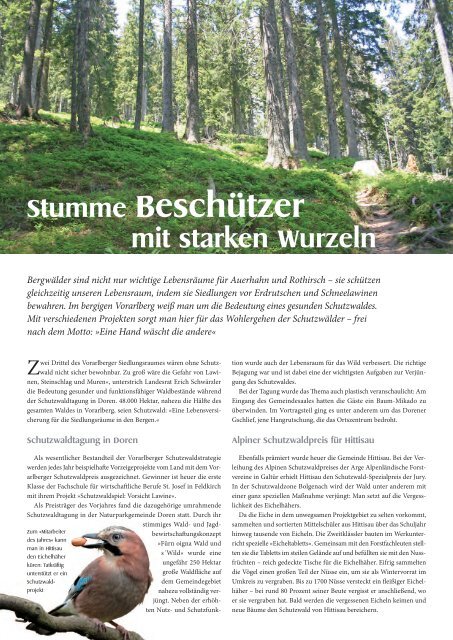 NAGELFLUH Frühjahr/Sommer 2015 - Das Naturpark-Magazin