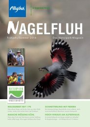 NAGELFLUH Frühjahr/Sommer 2016 - Das Naturpark-Magazin