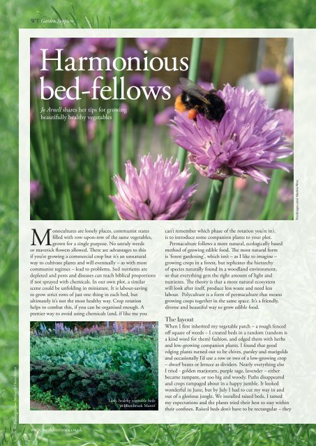 Wealden Times | WT170 | April 2016 | Garden supplement inside