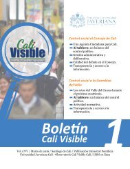 Boletin cali V3