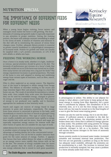 The Stable Magazine - April 2016