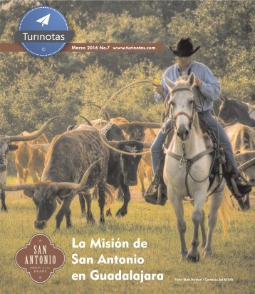 Turinotas No.7