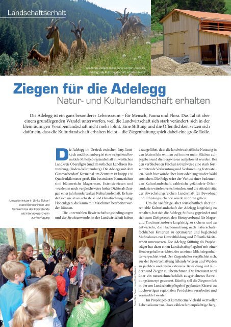 ALLGÄU ALTERNATIV Sommerausgabe 2015